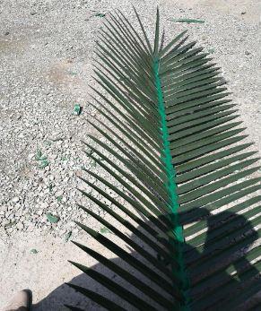 Kamuflaż Wieża Komunikacyjna Palm