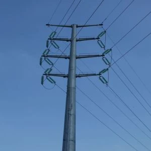 Jakie są wady systemu wieżowego RDS?